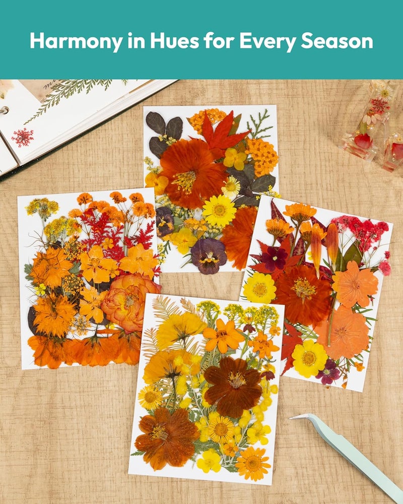 Resiners Dried Flowers, 100Pcs Pressed Flowers for Craft Real Natural Dried Flowers Dry Leaves Kit for DIY Making Crafts Resin Soap Candle Scrapbook Supplies Card Making Jewelry - Image 5
